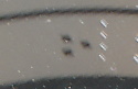 File:Nimbus 3 dot example cropped.jpg